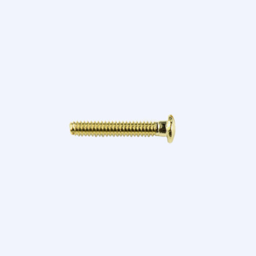 VI-1790-vis-de-charnieres-hinge-screw-detail