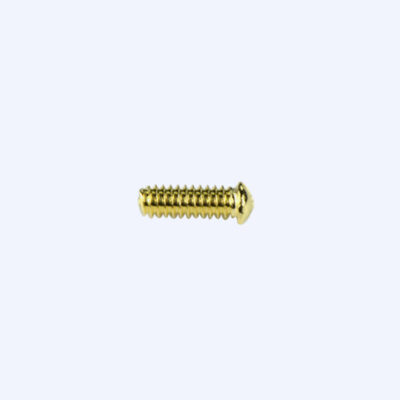 VI-2550-screw-hinge-screw-detail