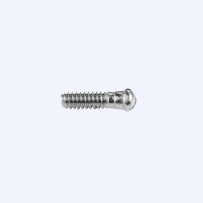 VI-2560-vis-de-charnieres-hinge-screw-detail