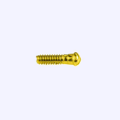 VI-2570-vis-de-charnieres-hinge-screw-detail